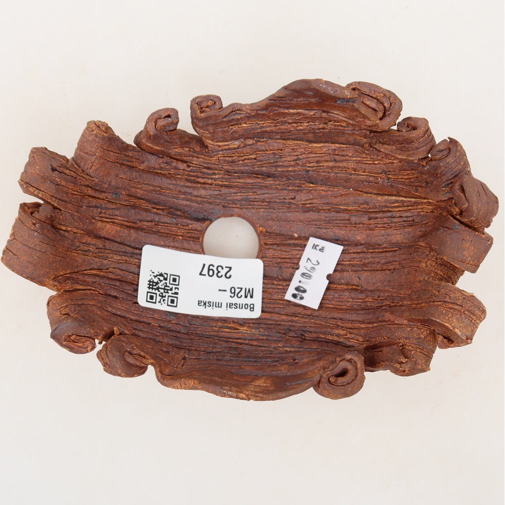 Conchiglia in ceramica  13 x 9 x 6 cm, colore marrone