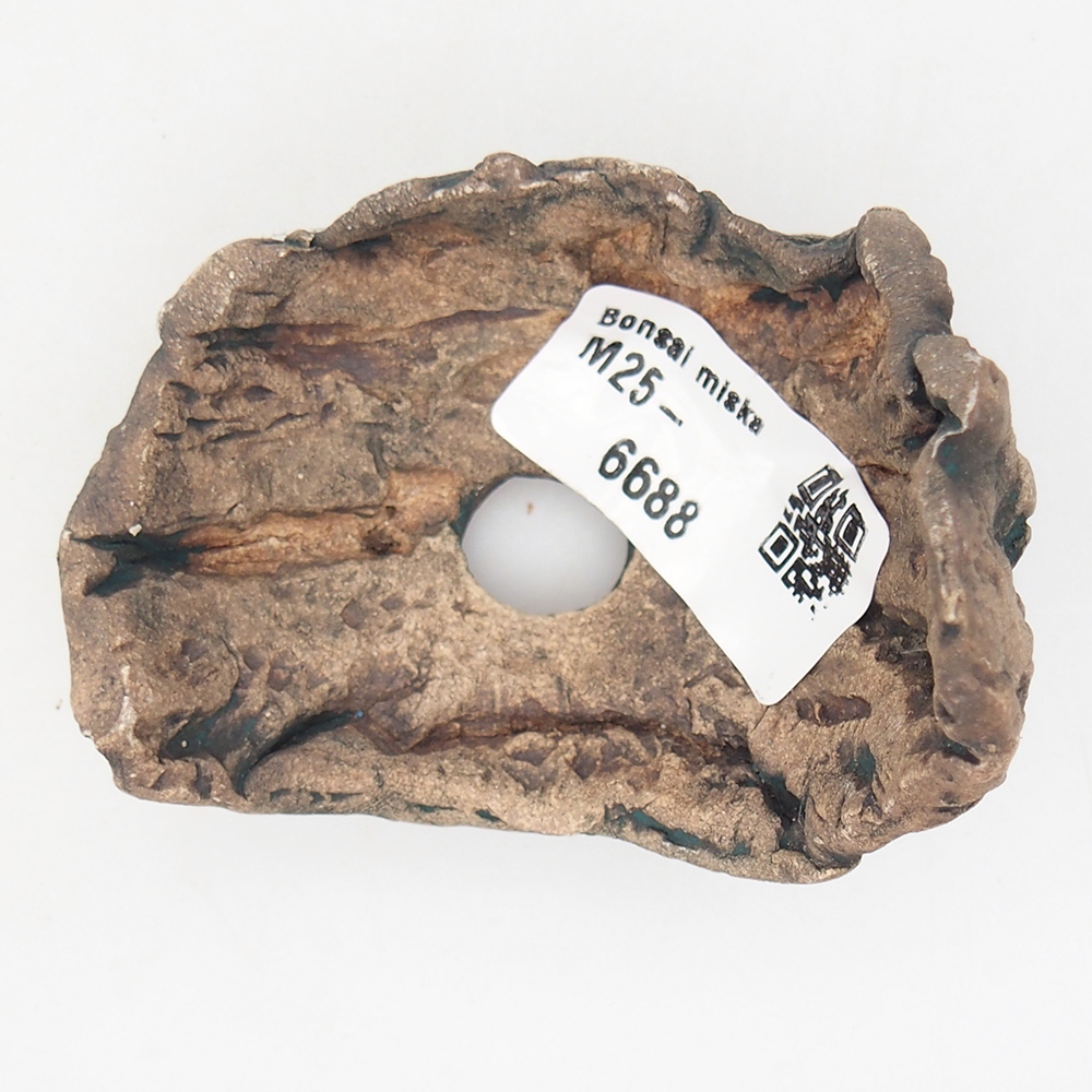 Conchiglia in ceramica 6,5 x 5,5 x 6 cm , colore verde