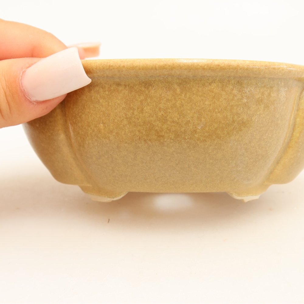 Vaso da bonsai in ceramica 12,5 x 10,5 x 4,5 cm, colore beige