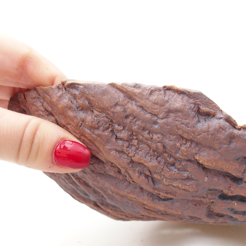 Conchiglia in ceramica 20 x 16 x 6 cm , colore marrone