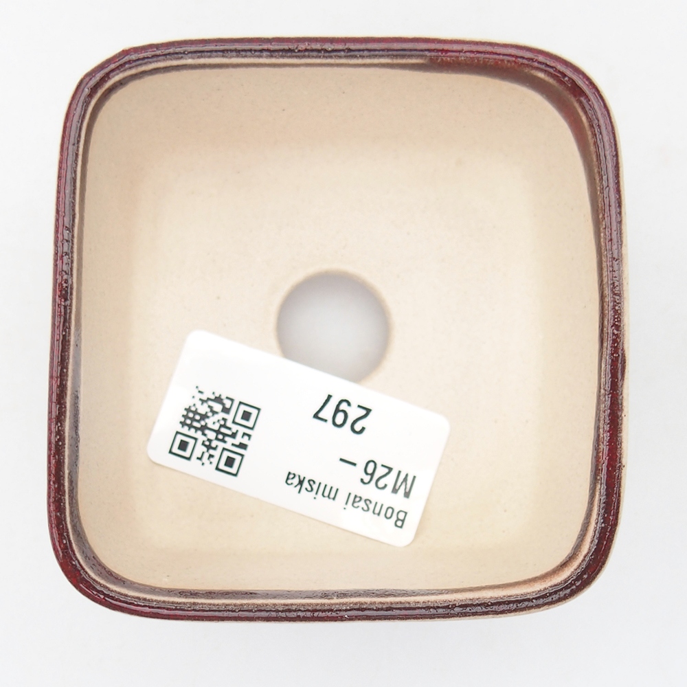 Mini bonsai 7 x 7 x 4 cm, colore rosso