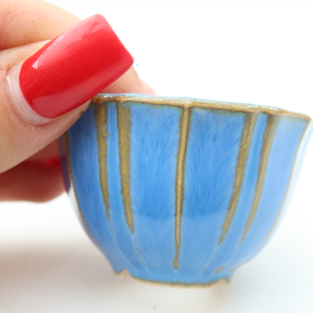 Vaso da bonsai in ceramica 5,5 x 5,5 x 3,5 cm, colore blu