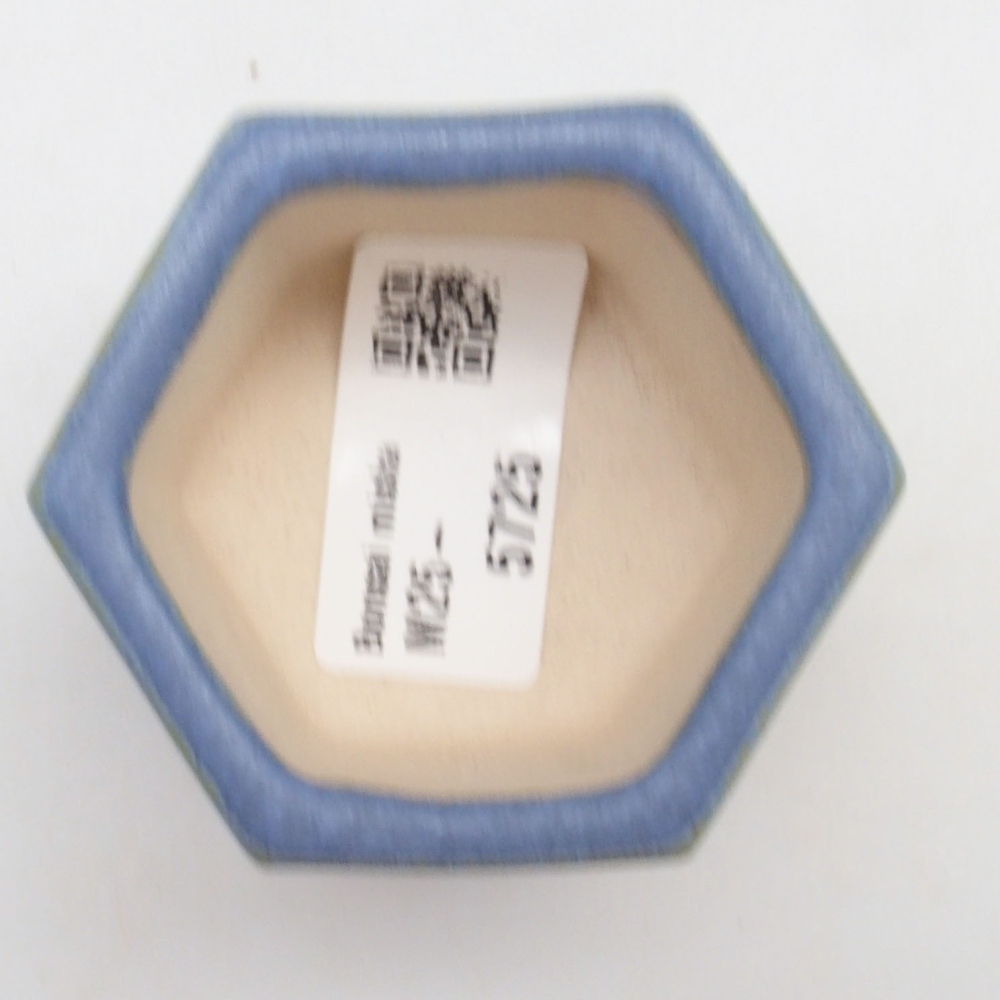 Mini bonsai 6 x 5,5 x 4 cm, colore blu