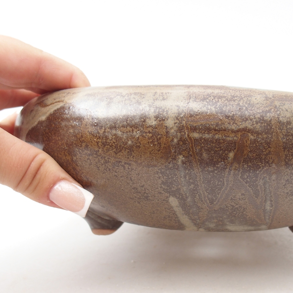 Ciotola per bonsai in ceramica 20 x 20 x 7 cm, marrone
