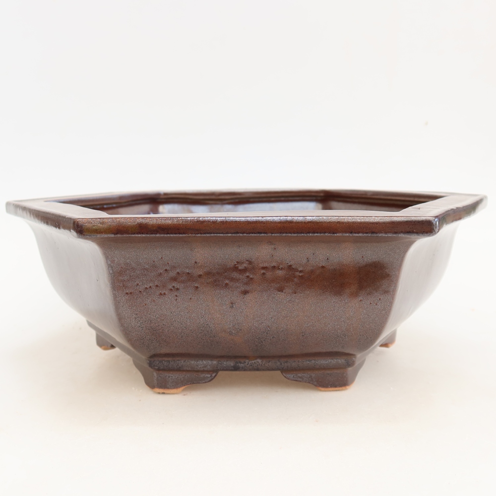 Vaso da bonsai in ceramica 28 x 24,5 x 9 cm, colore bordeaux