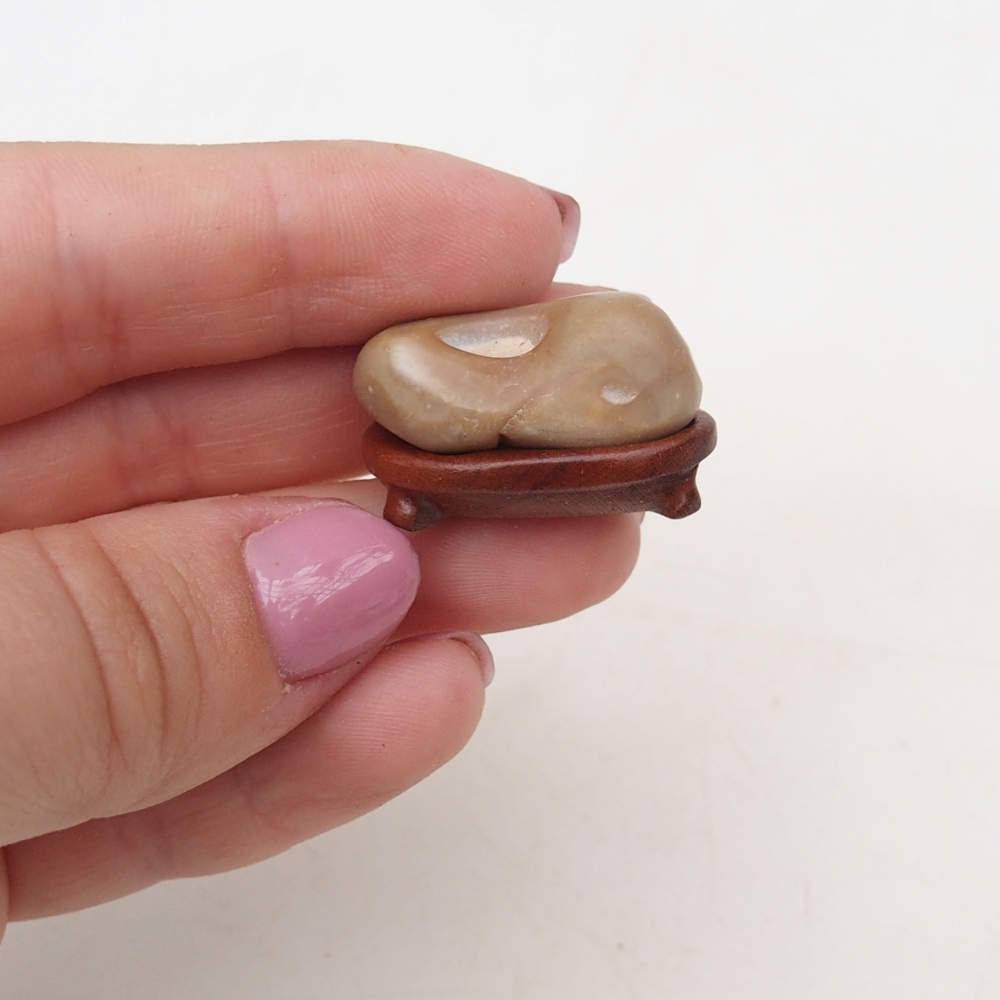 Suiseki - Pietra con DAI (base in legno)