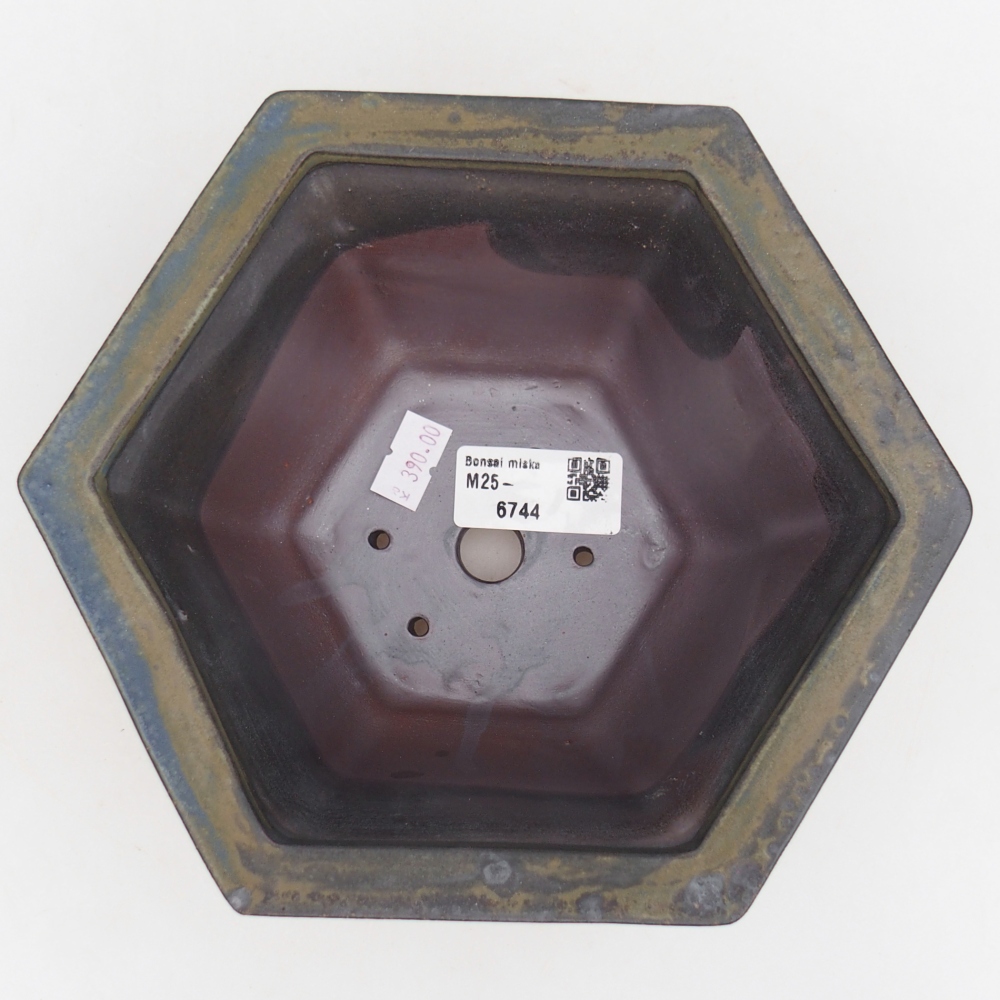 Ciotola per bonsai in ceramica 18,5 x 16,5 x 9 cm, marrone