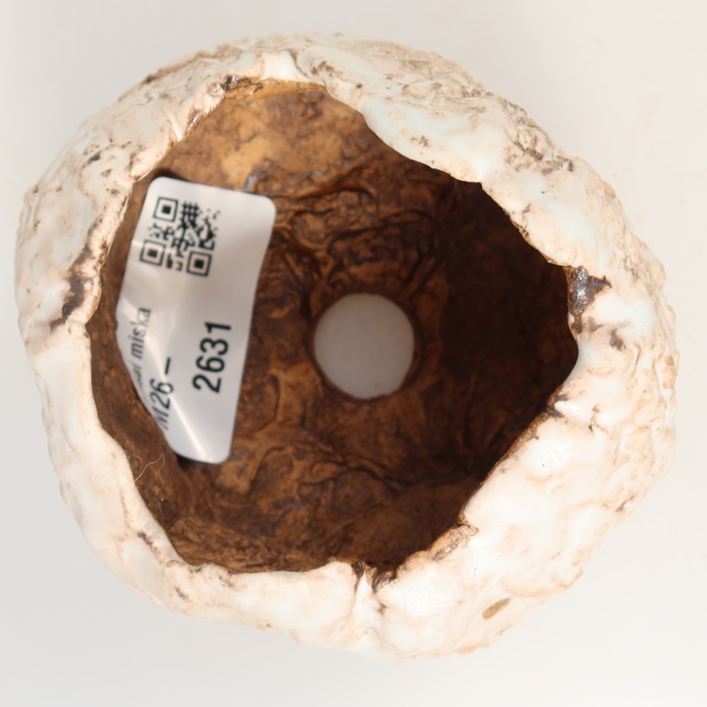 Guscio in ceramica  7,5 x 7 x 6 cm, colore bianco