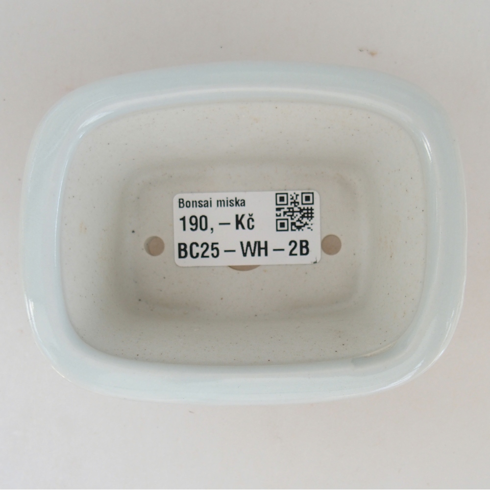 Mini bonsai 10 x 7,5 x 4 cm, colore bianco