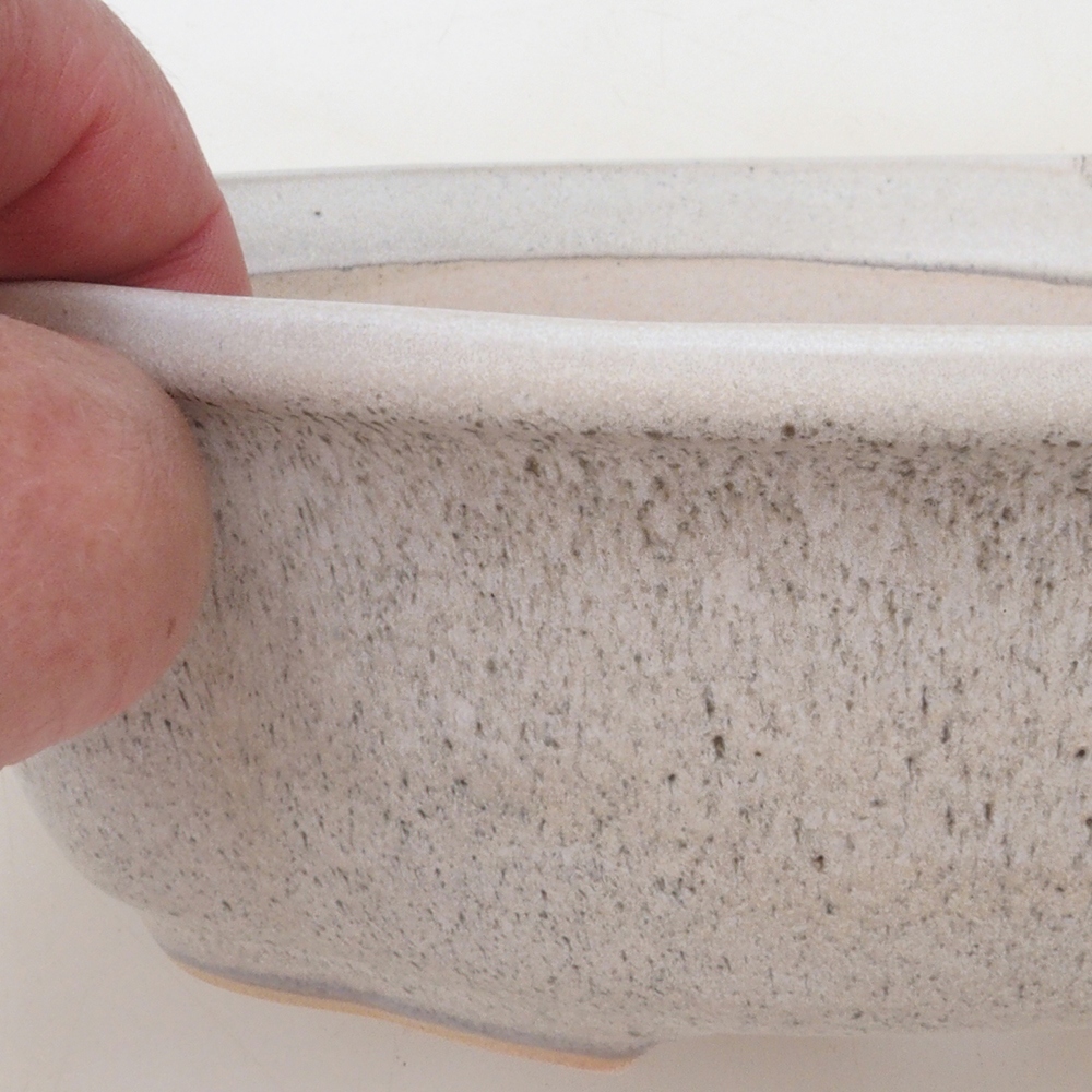 Ciotola per bonsai H75 - 19 x 14 x 6,5 cm - beige