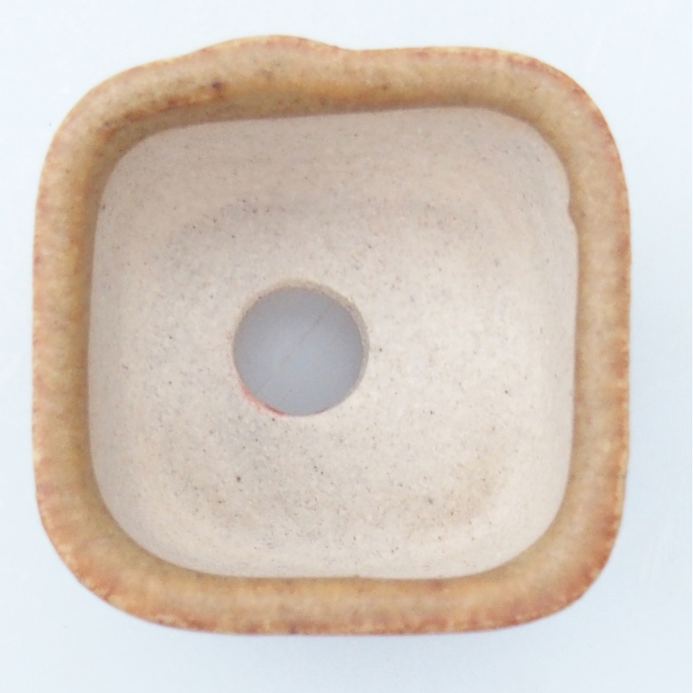 Mini bonsai 2,5 x 2,5 x 1,5 cm, marrone