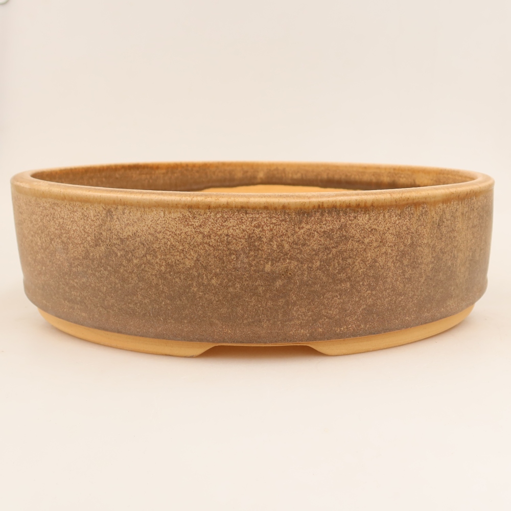 Vaso in ceramica per bonsai 31 x 31 x 8 cm, colore marrone