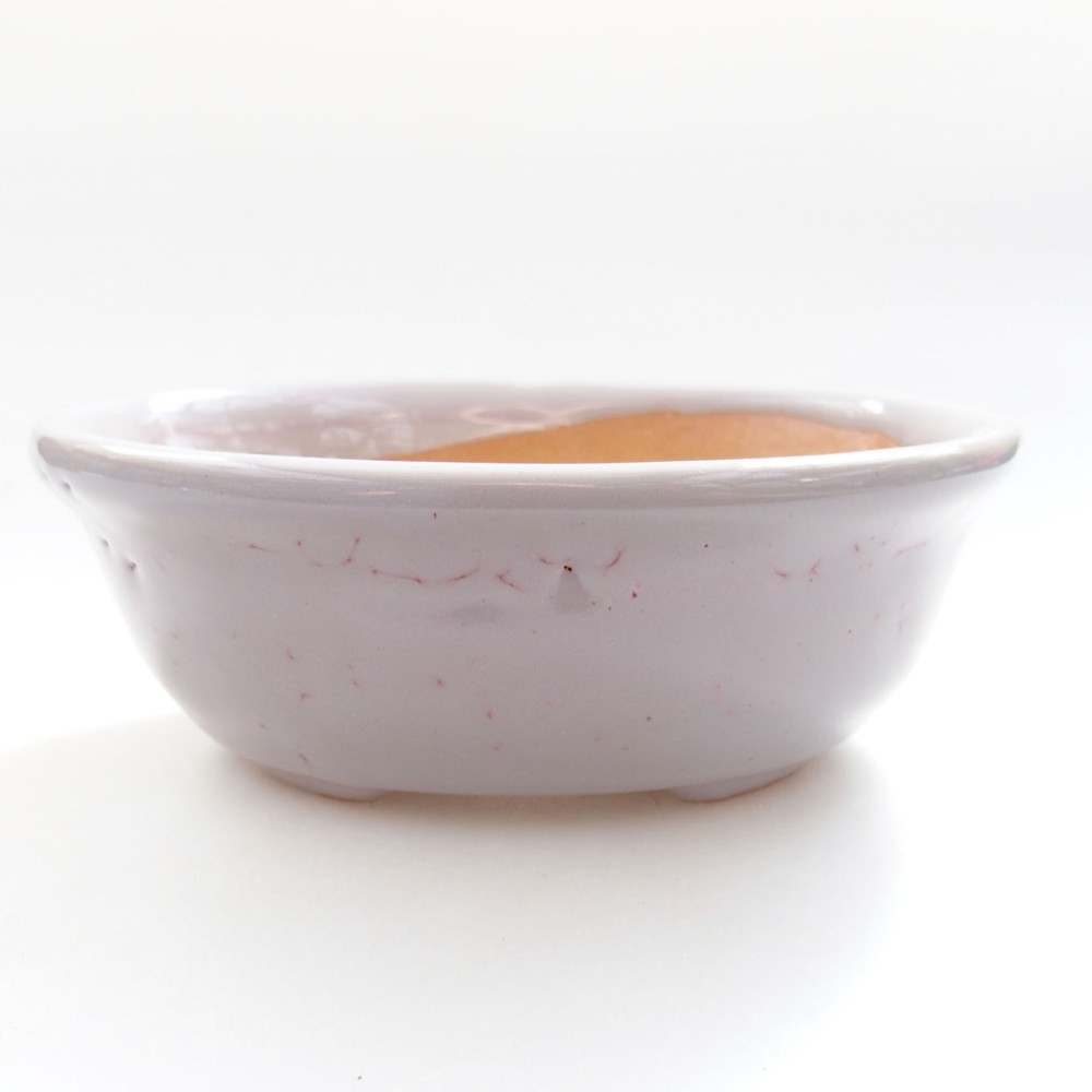 Ciotola bonsai in ceramica 22 x 17 x 5 cm, verde