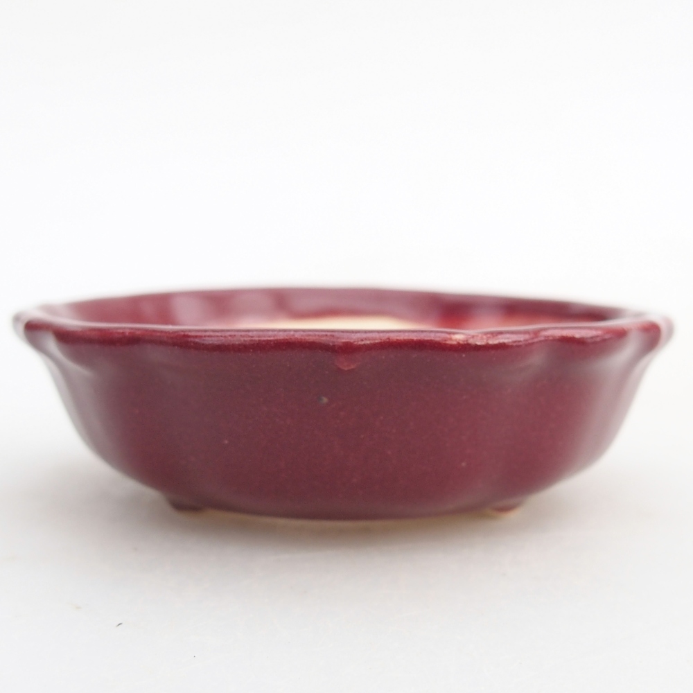 Mini bonsai 7,5 x 7,5 x 2,5 cm, bordeaux