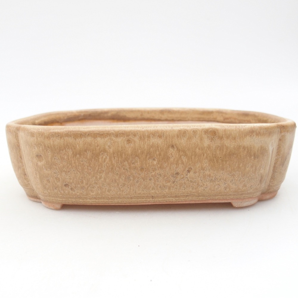 Ciotola per bonsai in ceramica 15,5 x 11,5 x 4 cm, colore beige