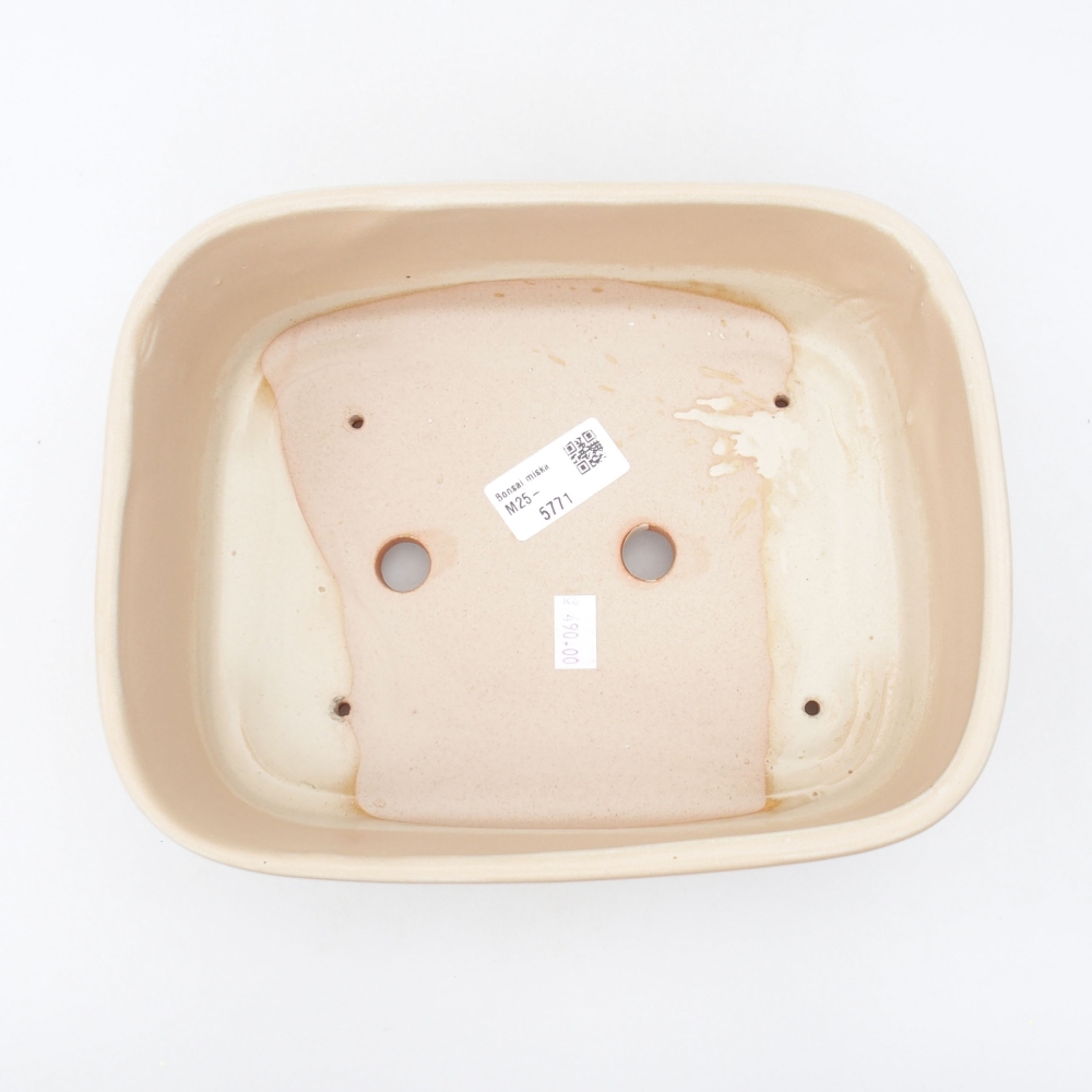 Ciotola bonsai in ceramica 23 x 18 x 7,5 cm, colore beige