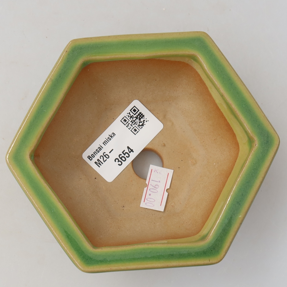 Ciotola per bonsai in ceramica 12 x 10,5 x 4,5 cm, verde