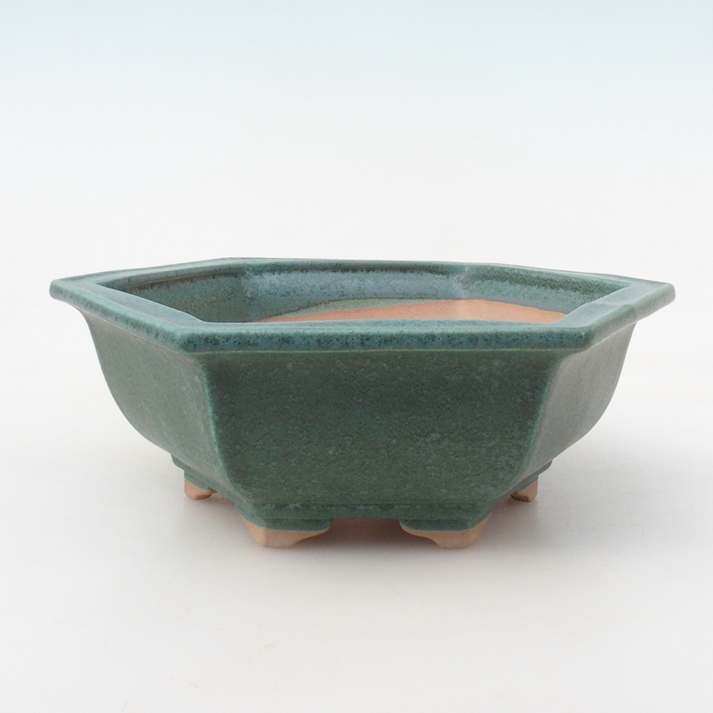 Ciotola bonsai + piattino H53 - 19 x 21,5 x 7 cm - verde