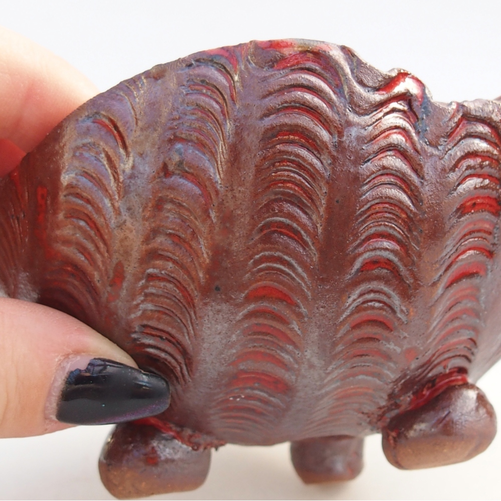 Conchiglia in ceramica 10 x 10 x 8 cm , colore marrone