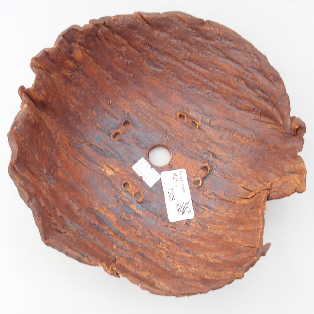 Conchiglia in ceramica 20 x 20 x 8 cm , colore marrone