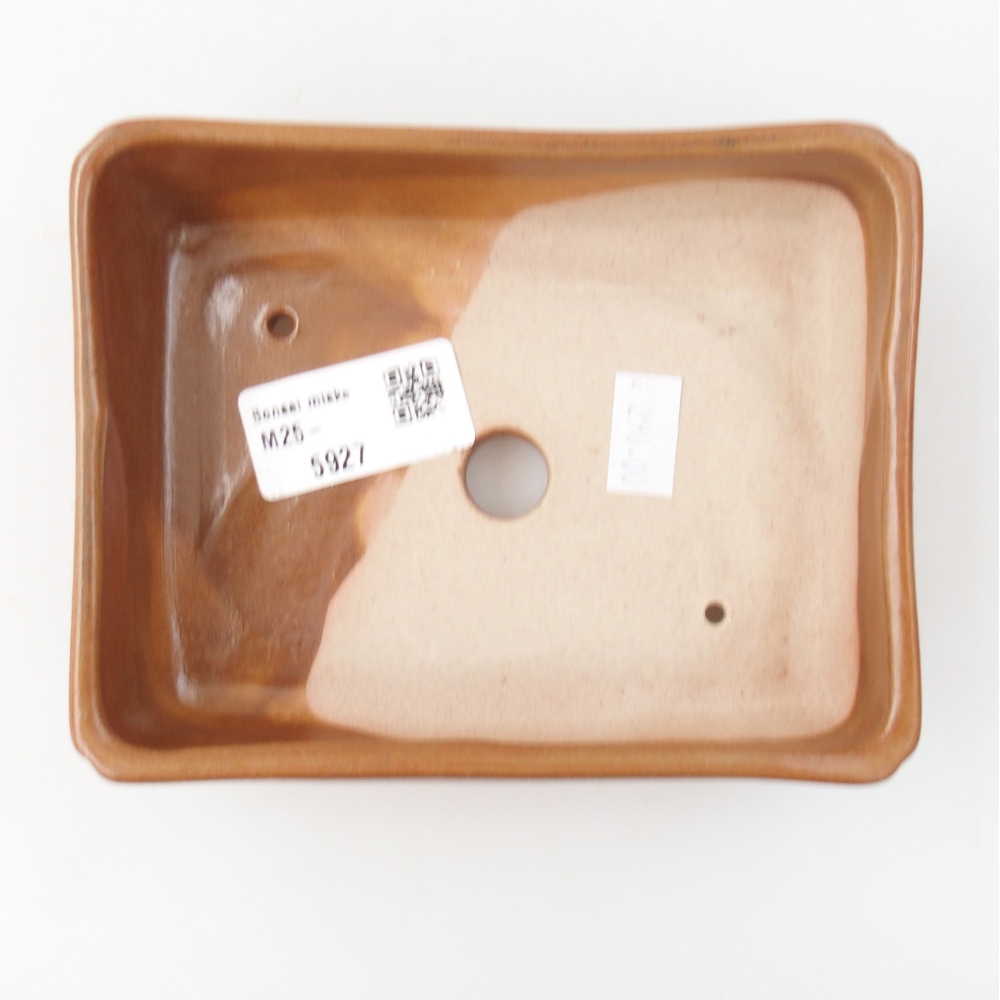 Ciotola bonsai in ceramica 22 x 17 x 5 cm, verde