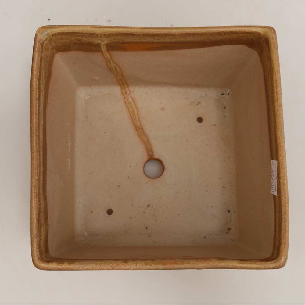 Vaso da bonsai in ceramica 15 x 15 x 10,5 cm, colore beige