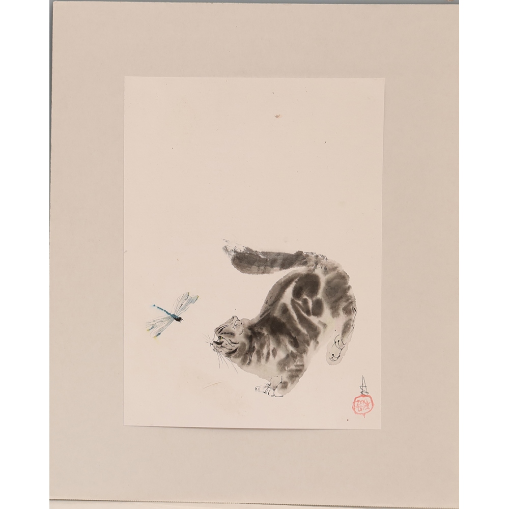 Calligrafia - Gattino con libellula