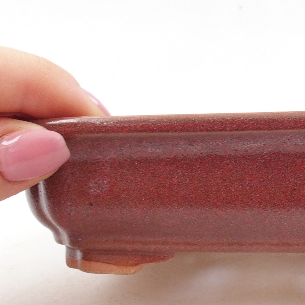 Ciotola bonsai in ceramica 14 x 11 x 4 cm, bordeaux