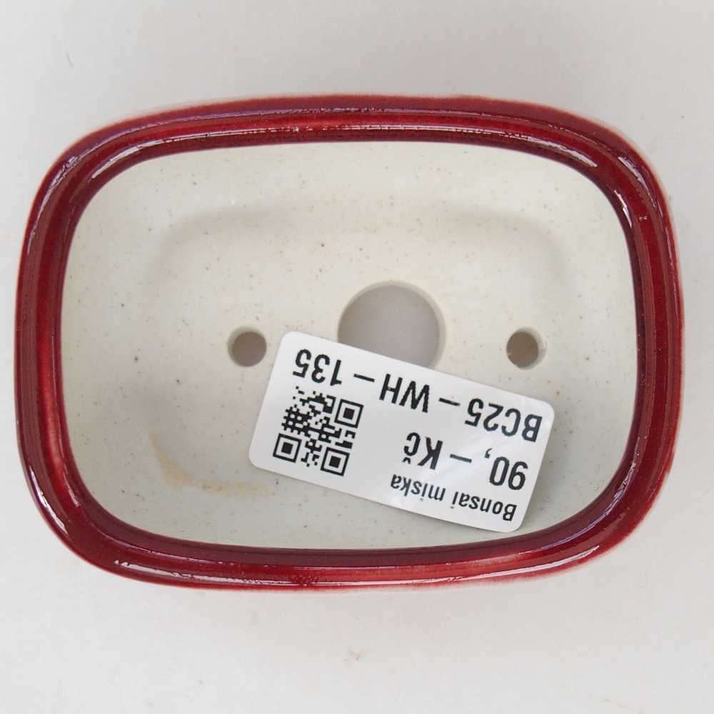 Mini bonsai 8 x 6 x 3 cm, colore rosso