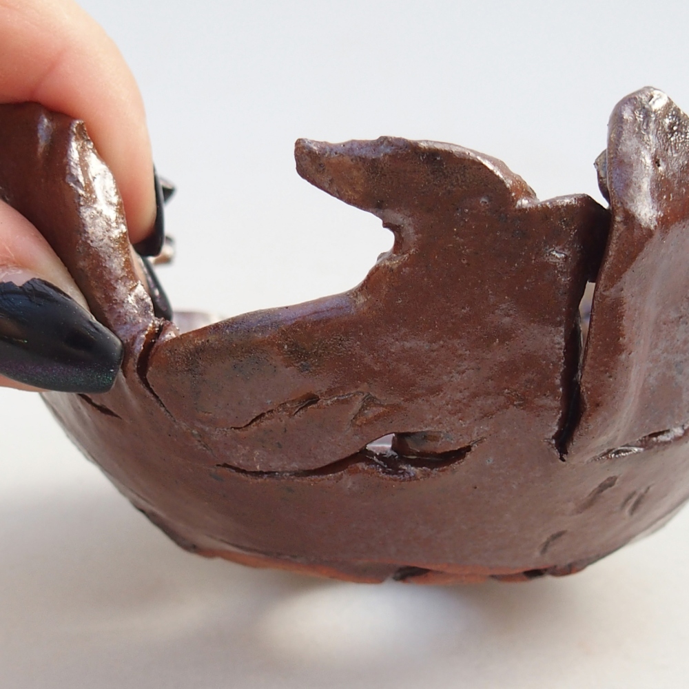 Conchiglia in ceramica 10 x 10 x 5 cm , colore marrone