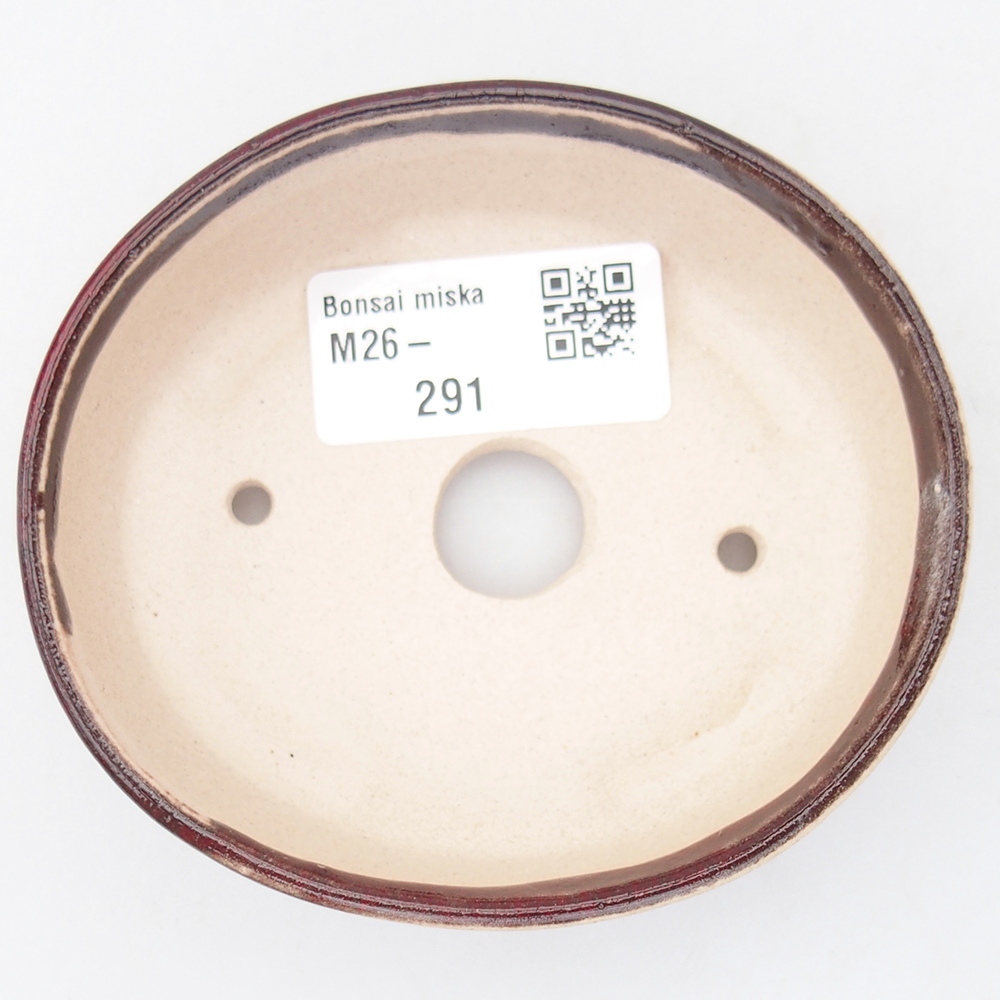 Mini bonsai 9,5 x 8,5 x 3 cm, colore rosso