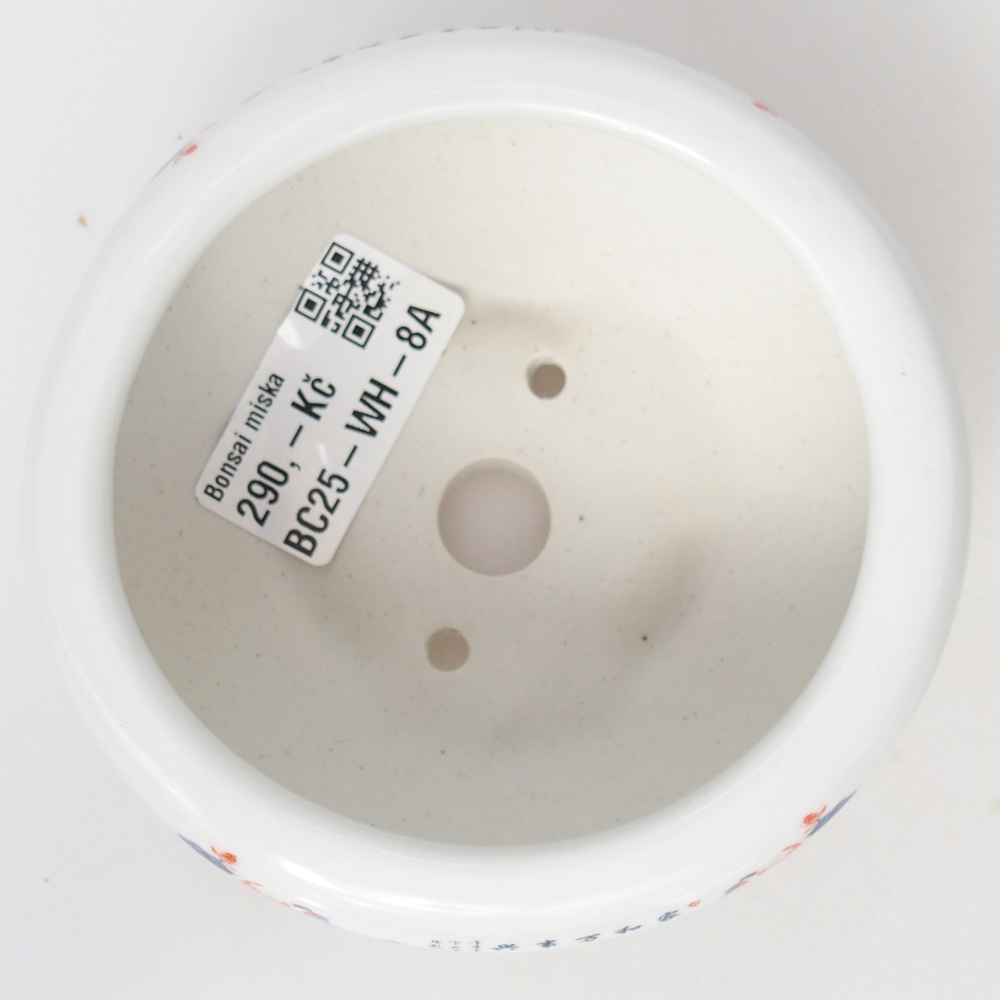 Ciotola per bonsai in ceramica 10 x 10 x 5 cm, colore bianco