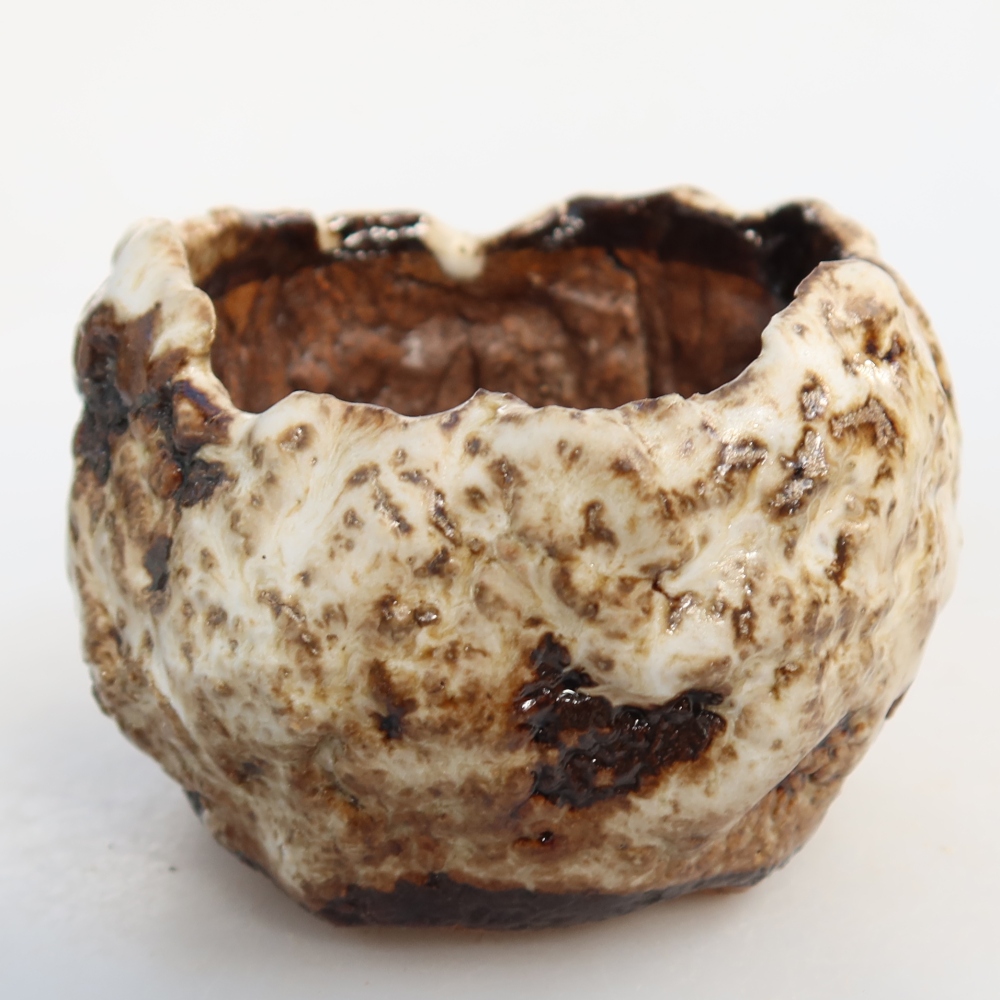 Guscio in ceramica  7,5 x 7 x 5,5 cm, colore bianco-marrone
