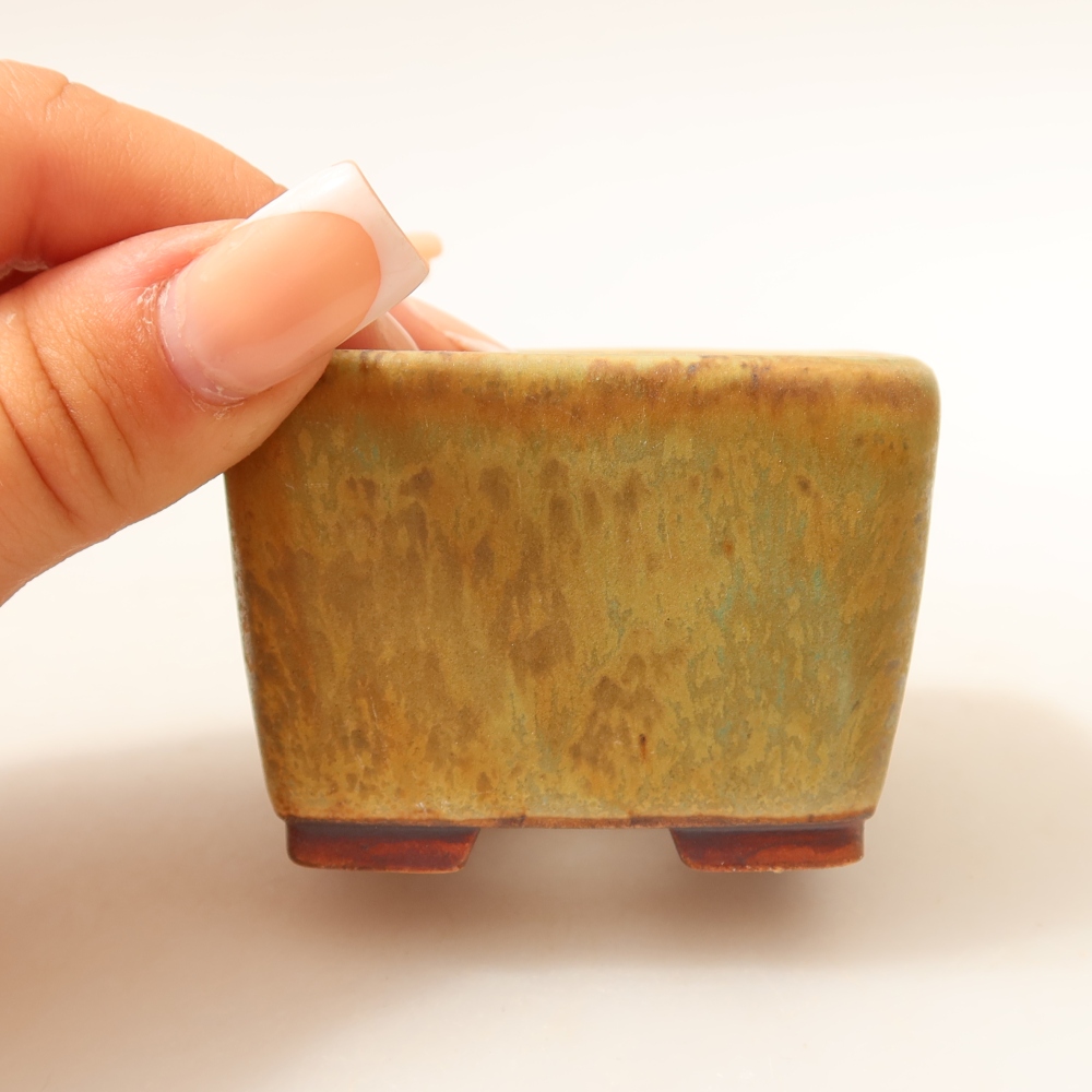 Ciotola per bonsai in ceramica 6,5 x 6,5 x 4,5 cm, verde
