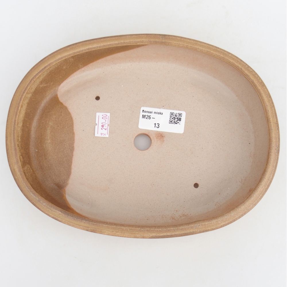 Ciotola per bonsai in ceramica 22,5 x 17 x 4,5 cm, colore beige