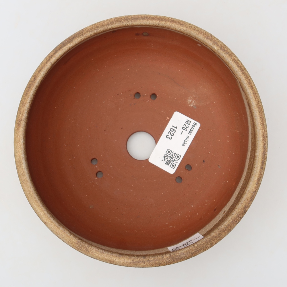 Vaso da bonsai in ceramica 15 x 15 x 5 cm, colore marrone