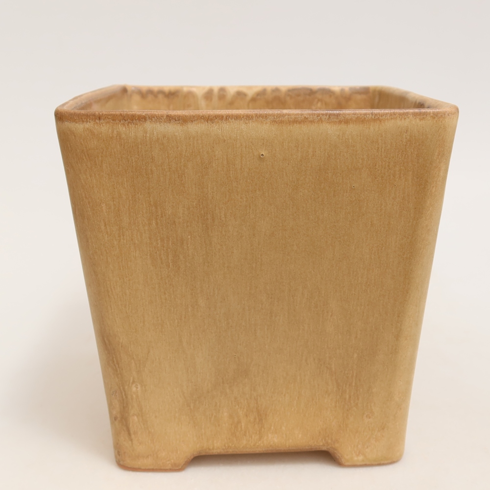 Ciotola bonsai in ceramica 13 x 13 x 13,5 cm, colore beige