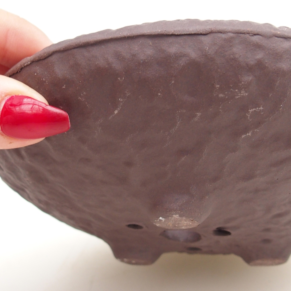 Conchiglia in ceramica 14 x 14 x 4 cm , colore marrone