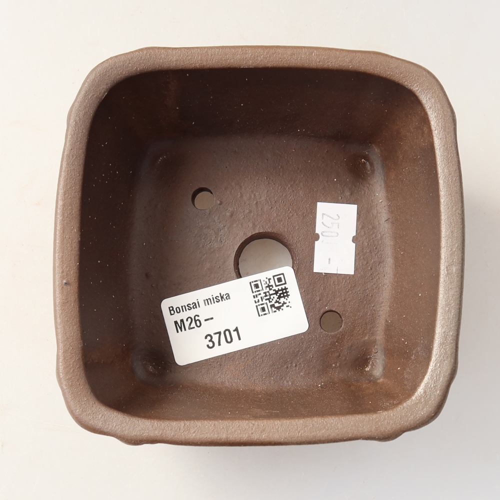 Ciotola per bonsai in ceramica 10 x 10 x 5 cm, marrone