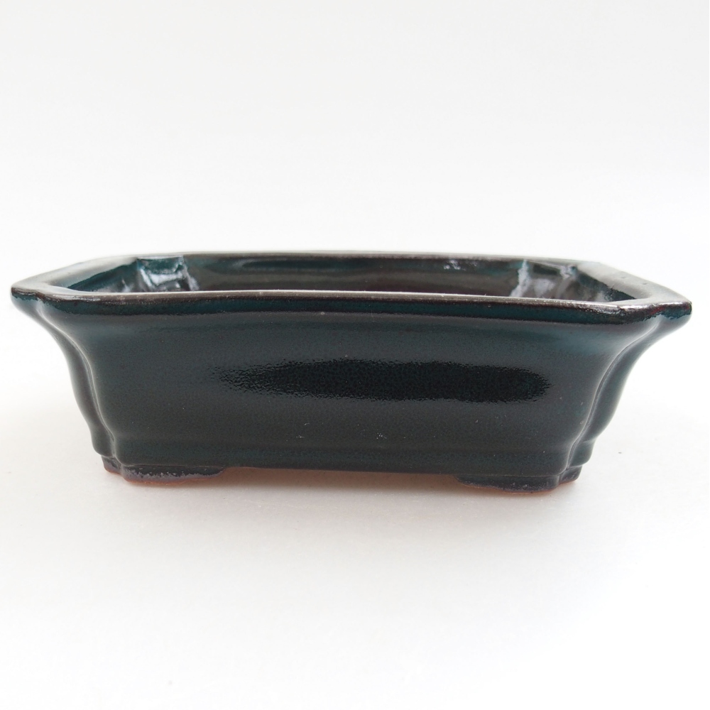 Ciotola bonsai in ceramica 22 x 17 x 5 cm, verde