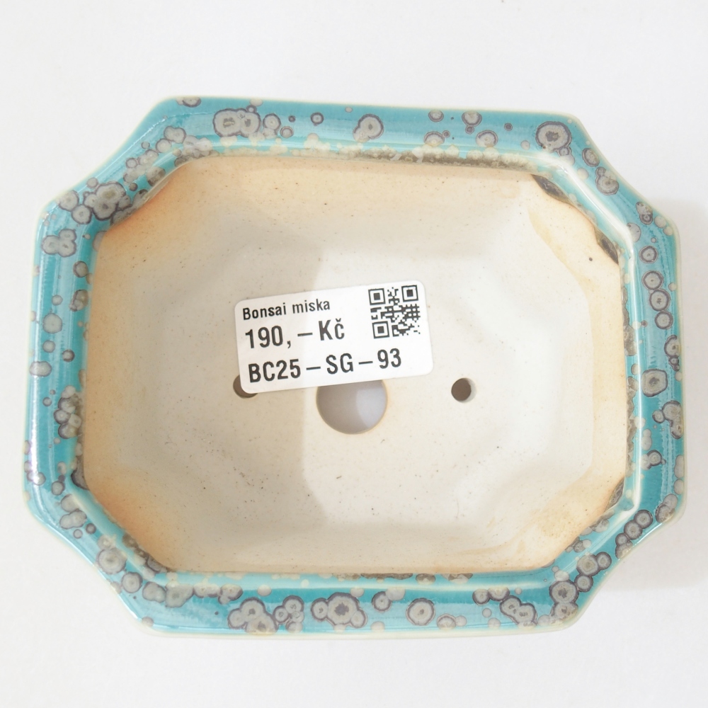 Ciotola 11 x 9 x 5,5 cm colore blu
