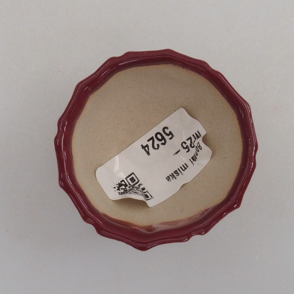 Ciotola per mini bonsai 5 x 5 x 3 cm, bordeaux