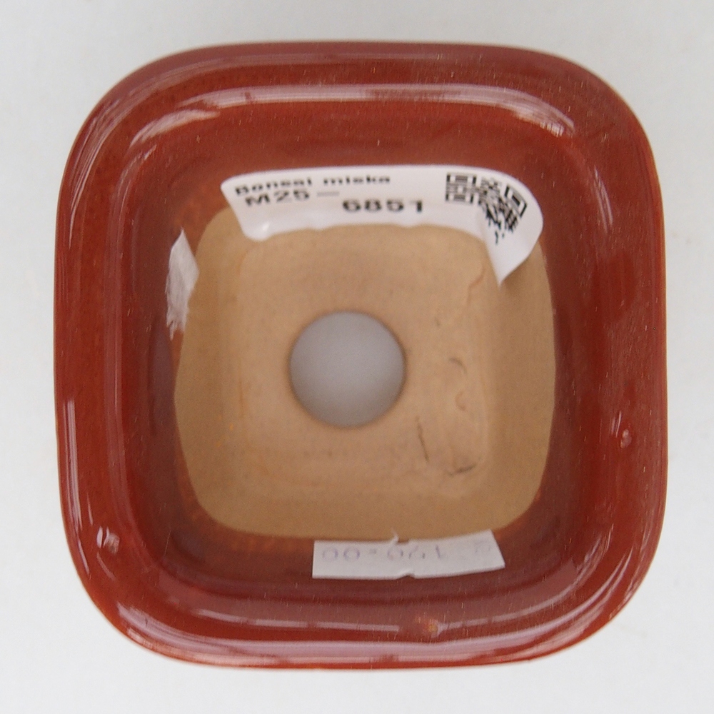 Ciotola per bonsai in ceramica 6,5 x 6,5 x 4,5 cm, marrone