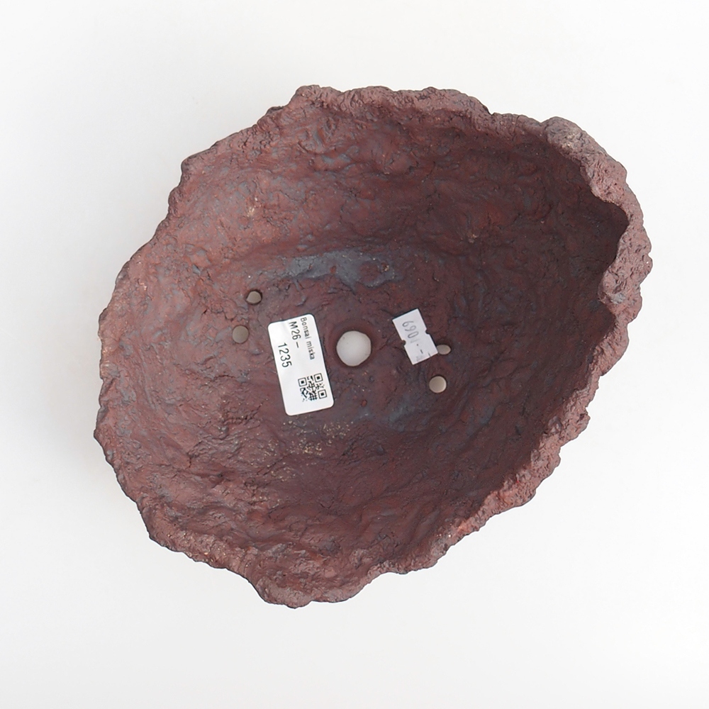 Guscio in ceramica 19 x 17 x 16 cm , colore marrone