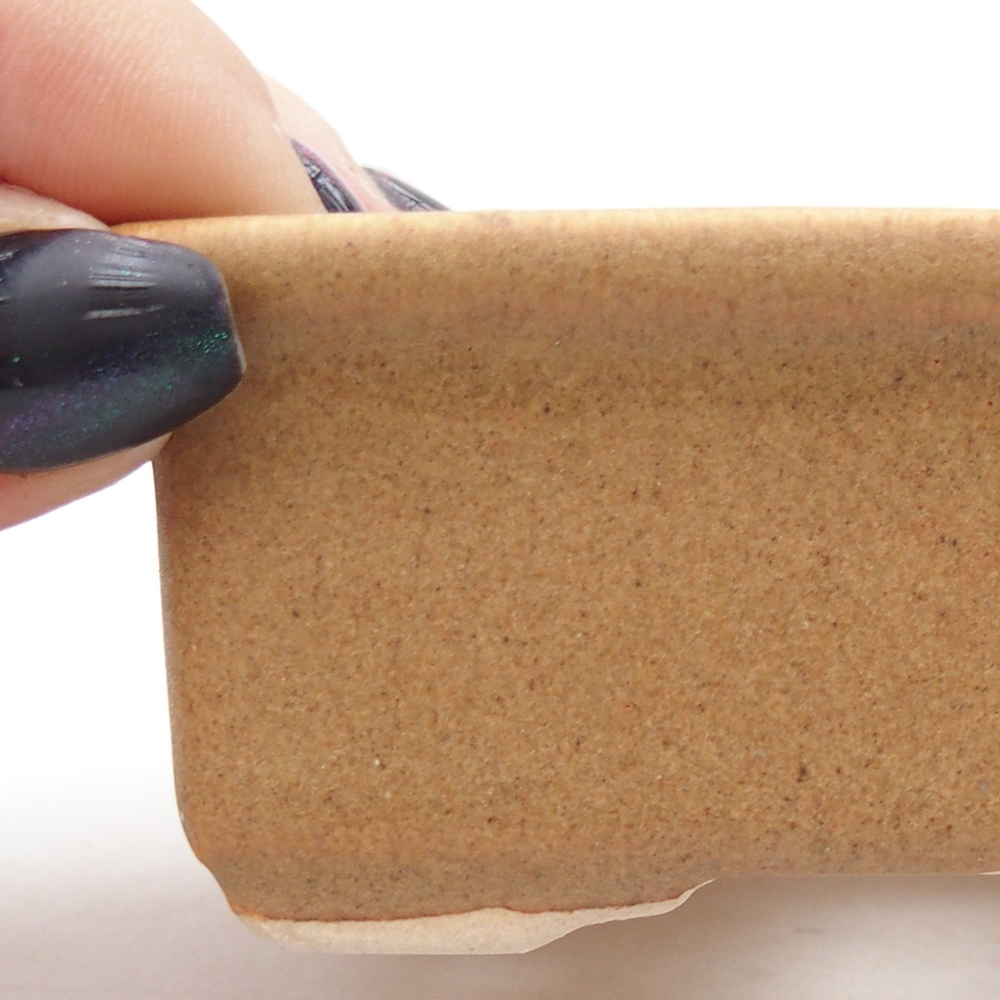 Mini bonsai 8 x 6,5 x 3,5 cm, marrone