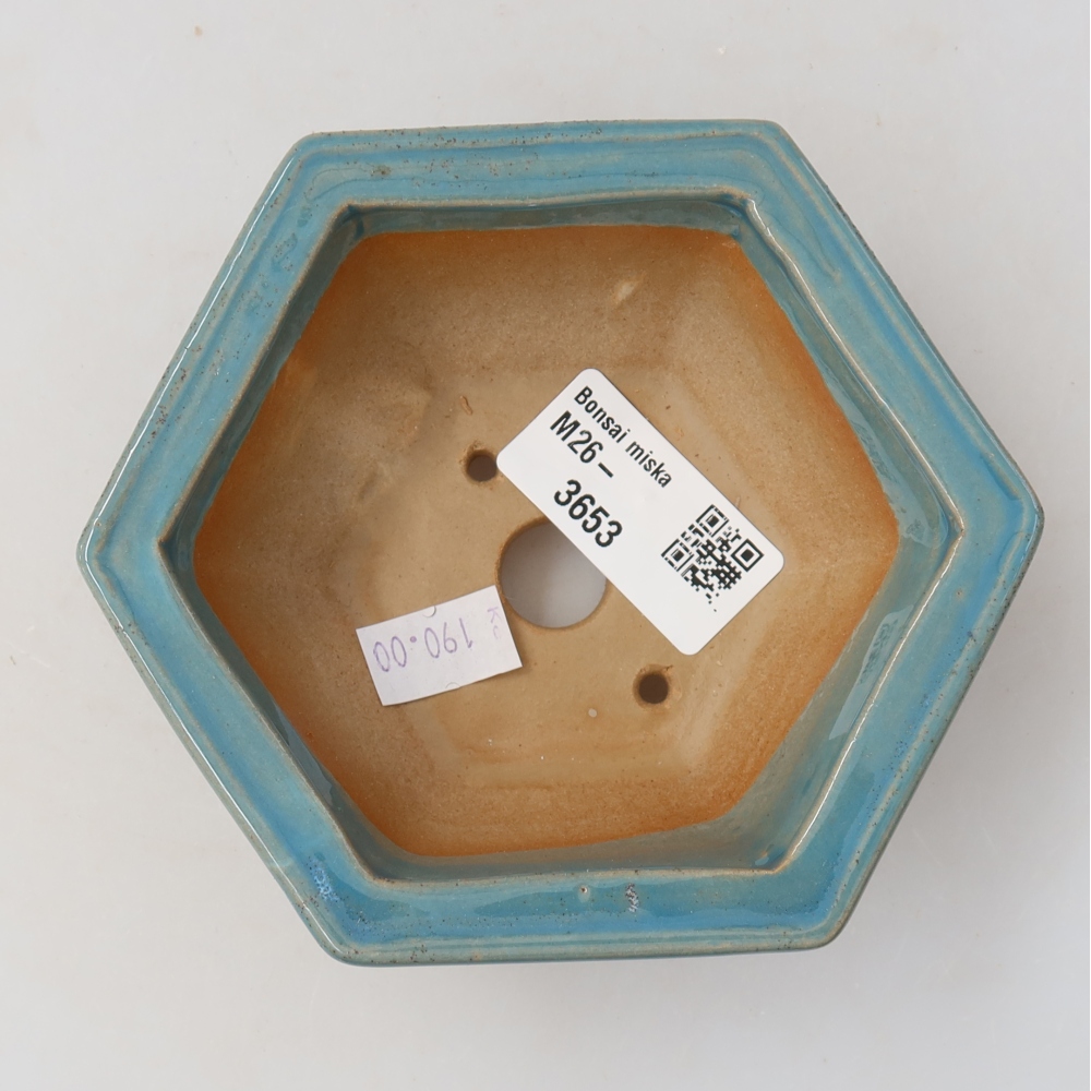 Ciotola bonsai in ceramica 12 x 10,5 x 4,5 cm, colore blu