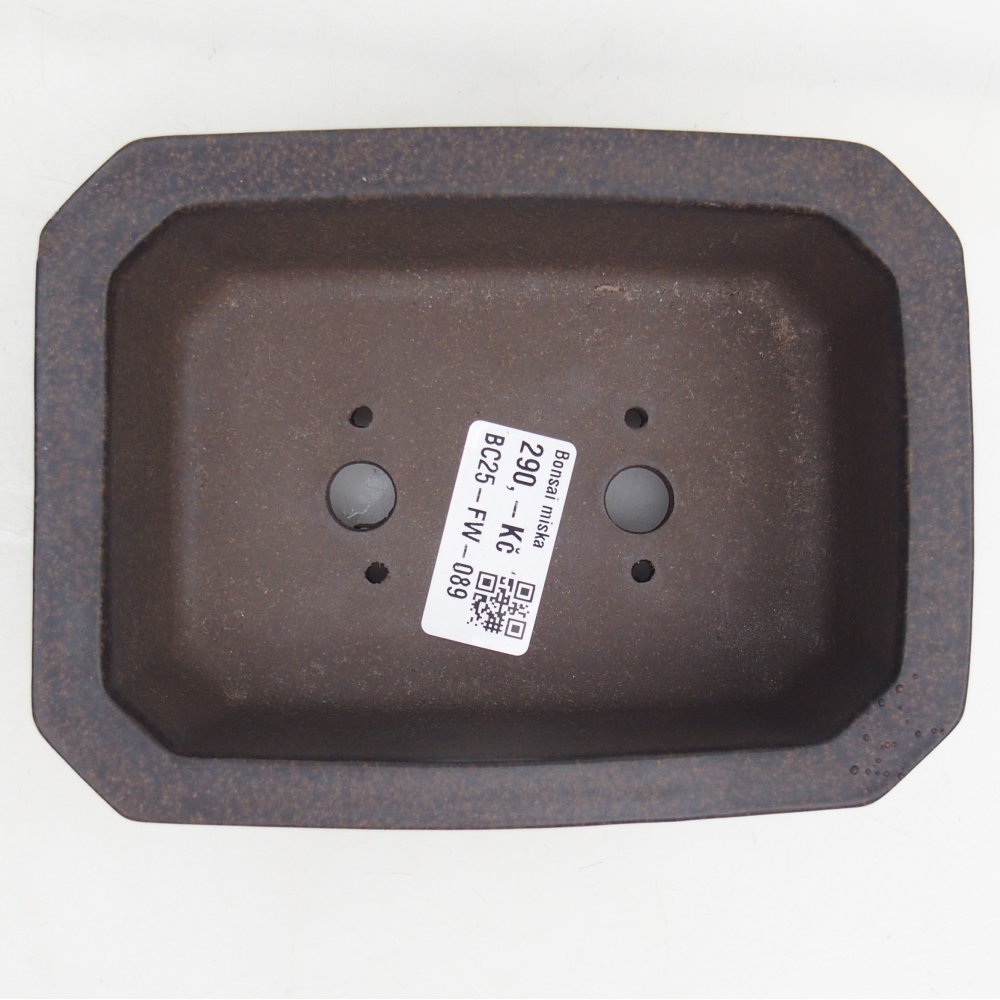 Ciotola per bonsai in ceramica 15 x 11 x 5 cm, marrone ocra