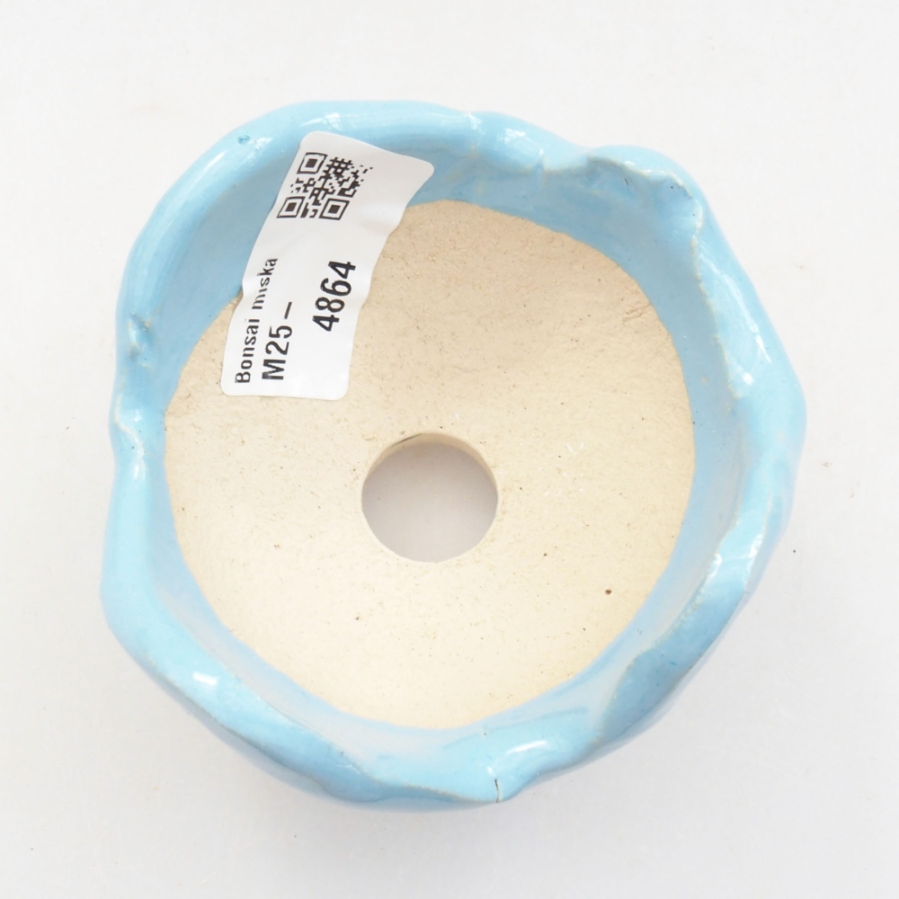 Conchiglia in ceramica 7 x 7 x 6 cm , colore blu