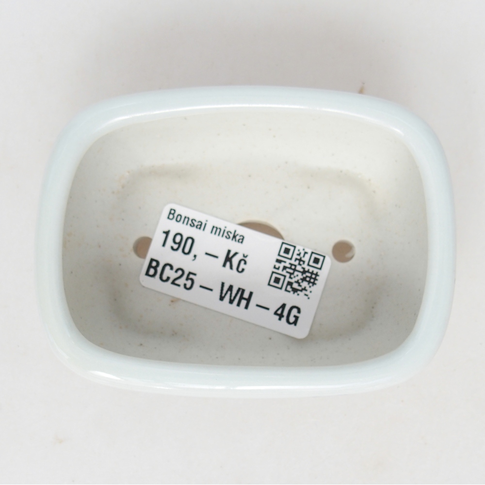 Mini bonsai 8 x 6 x 3 cm, bianco