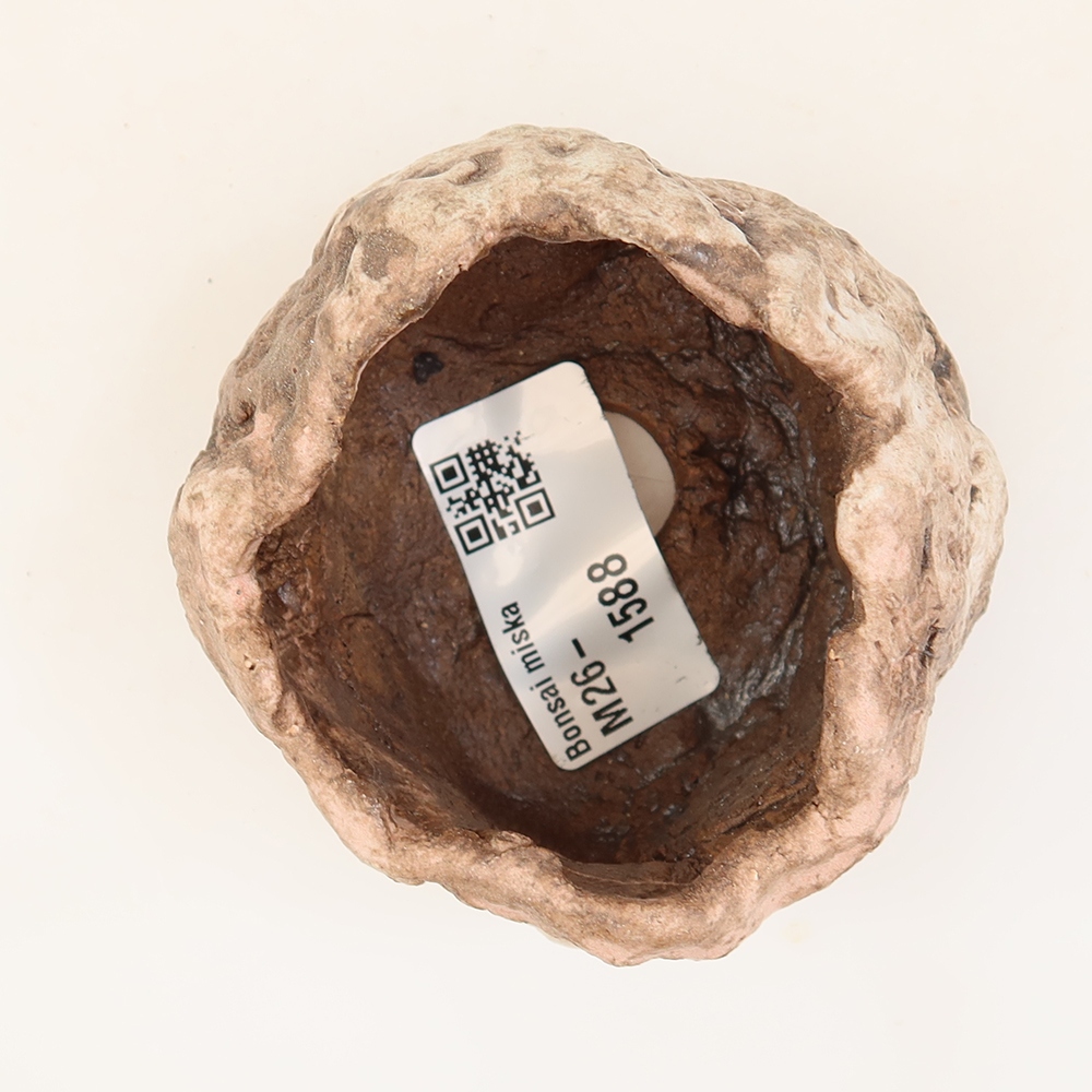 Guscio in ceramica  5,5 x 5 x 5 cm, colore rosa